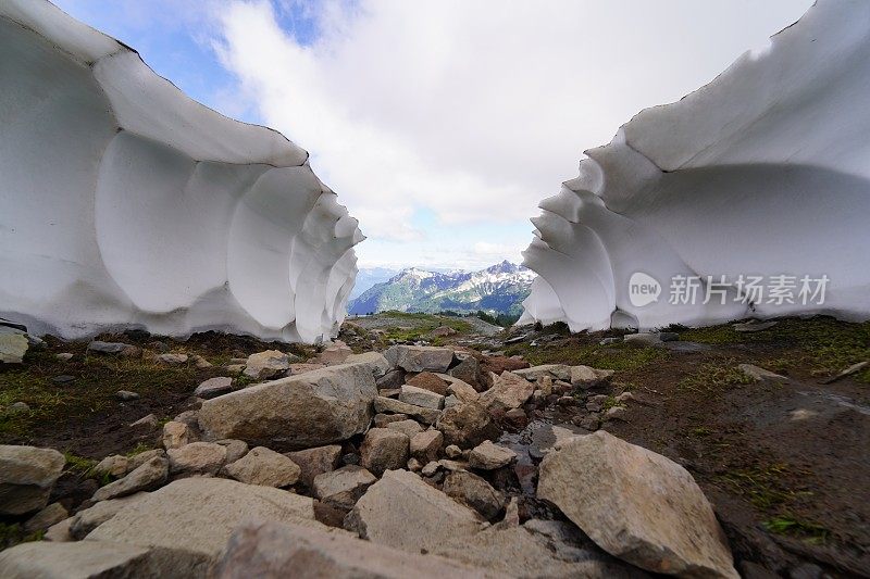 雷尼尔山2021