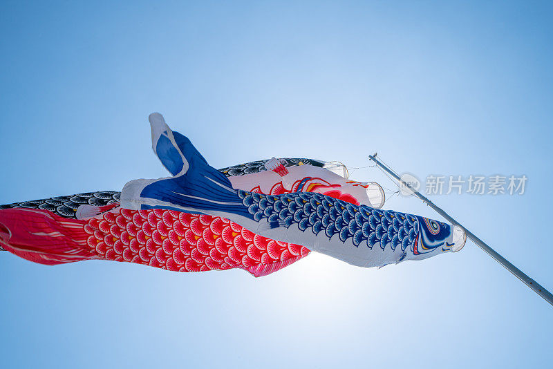 Koinobori(锦鲤形日本风筝)