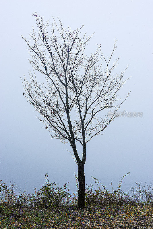 模糊的风景