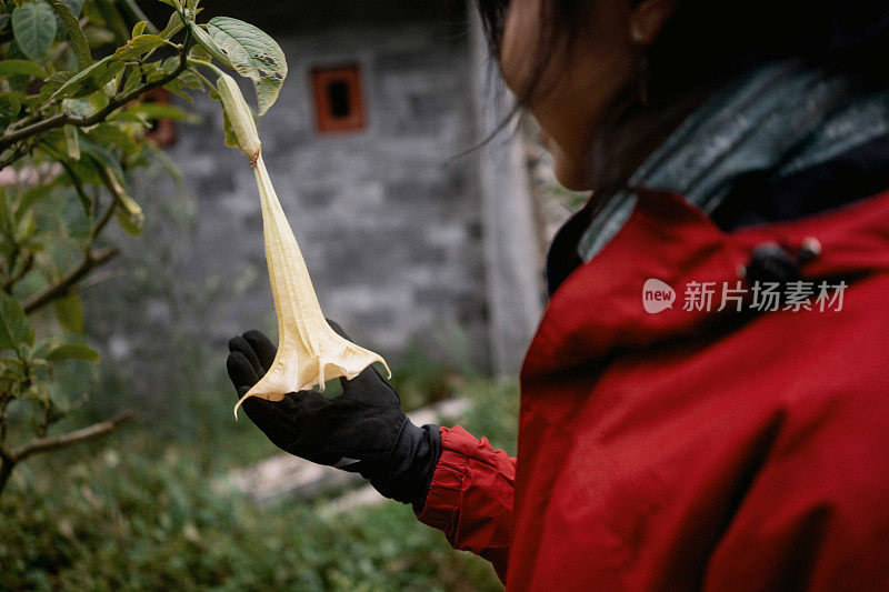 穿红夹克的女孩看着挂在树上的黄花