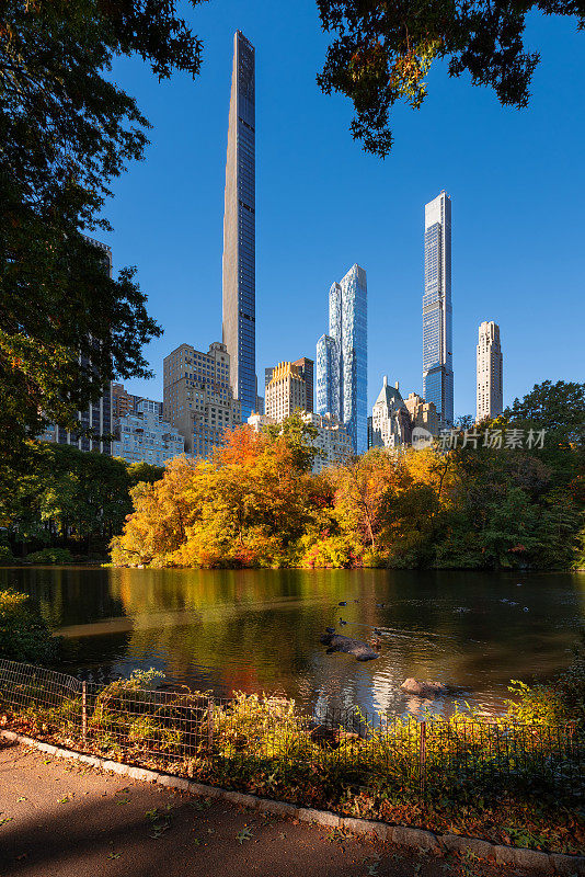 秋天的中央公园，池塘边，亿万富翁排着超高的摩天大楼。纽约曼哈顿中城