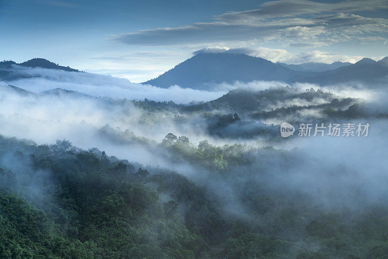 雾蒙蒙的丛林雨林与雾和分层的山脉范围从上面的日出。鸟瞰图。