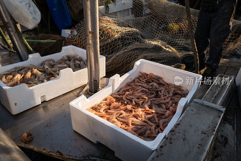 渔民从渔船上卸下虾箱