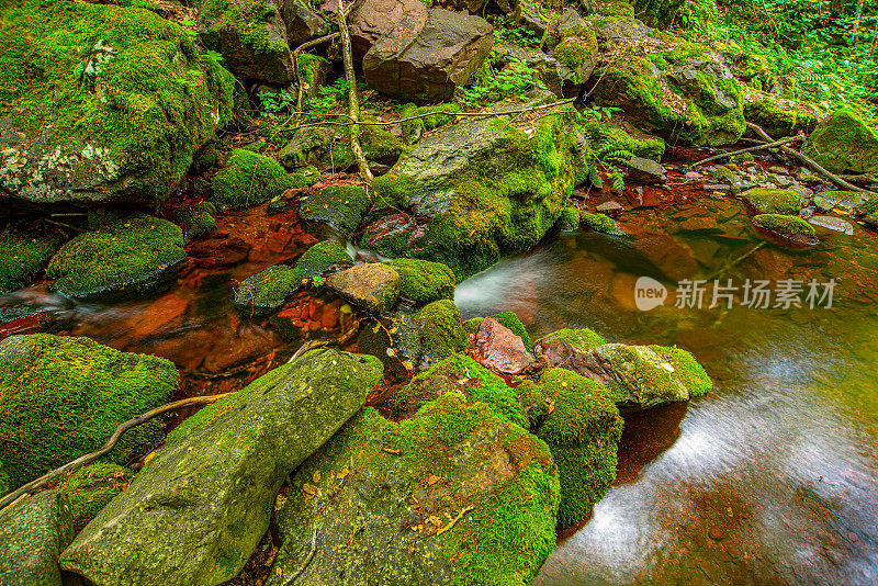 秋溪林地，有树有叶，山林岩石。田园诗般的旅行远足景观。