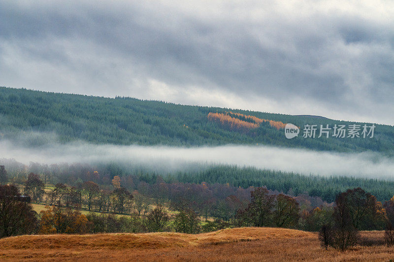 秋天，苏格兰佩思郡草地旁五颜六色的树木