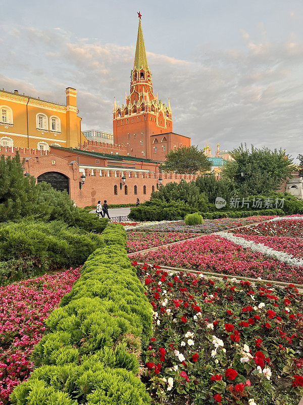 亚历山大花园的花坛，莫斯科，俄罗斯