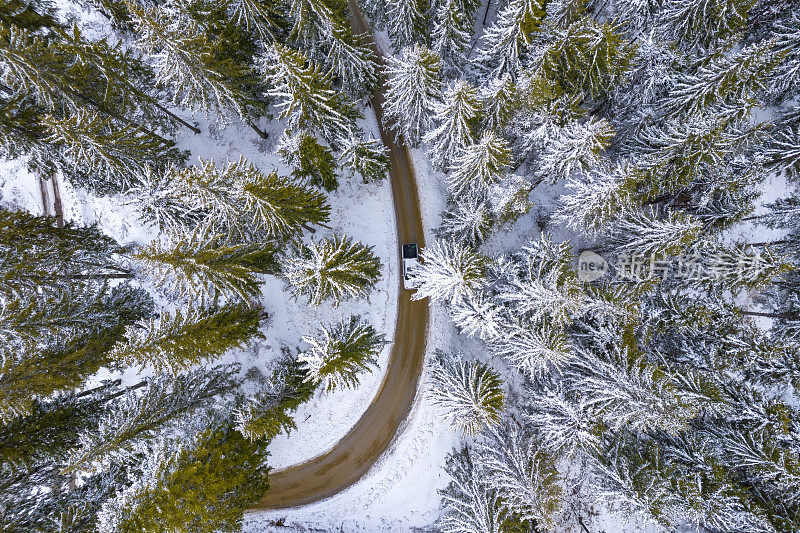 汽车驶过白雪覆盖的树林