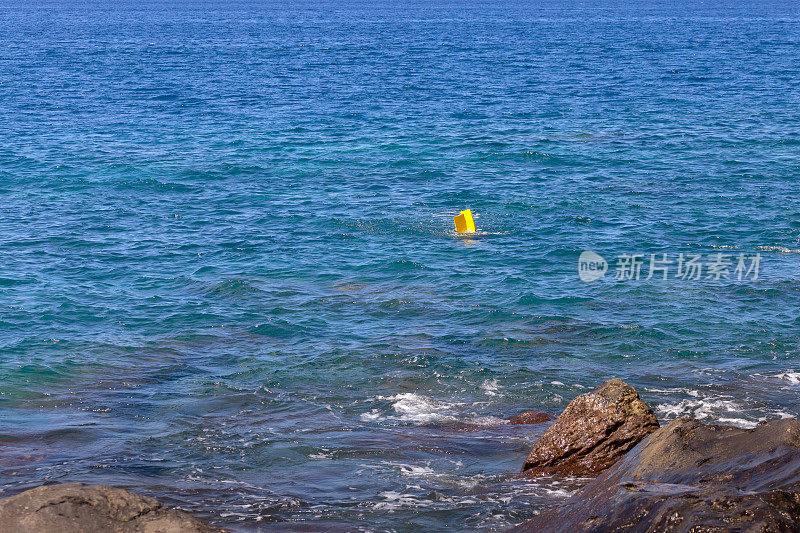 黄鳍出现在海里