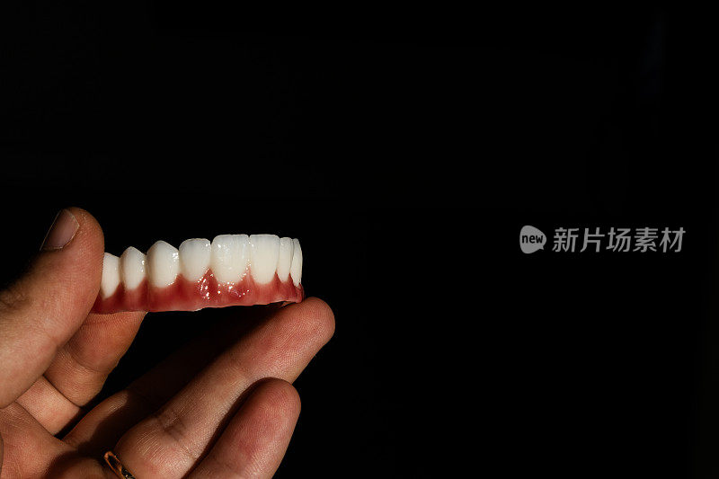 上颌牙齿模型