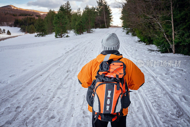 一个徒步旅行者在冬季森林中行走的后视图。积极的人在大自然的概念