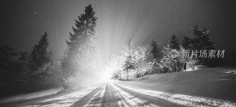 雪夜森林里神秘的光