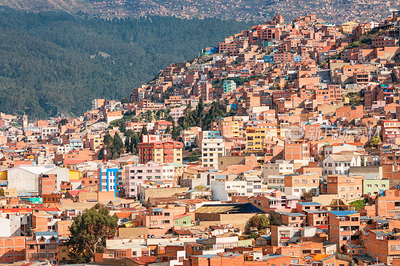 玻利维亚拉巴斯的居民区
