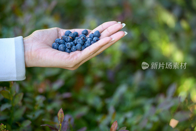 一个年轻女人手里拿着一把蓝莓