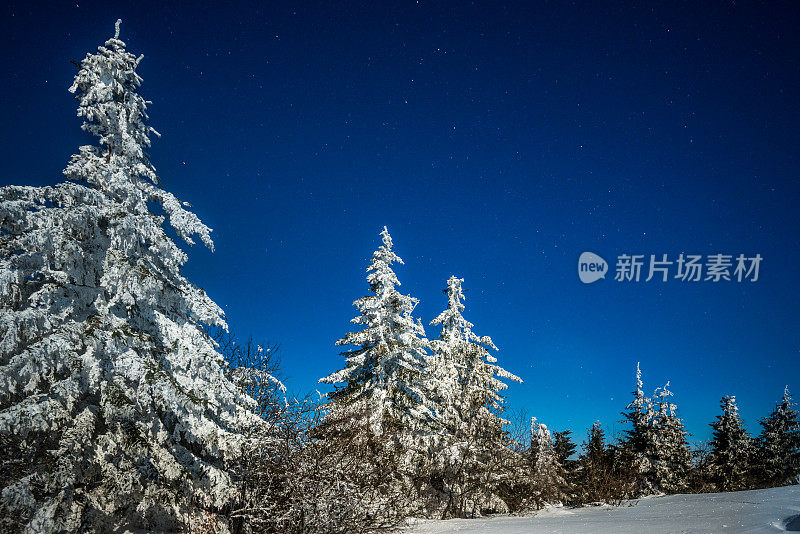 雪山里的夜星