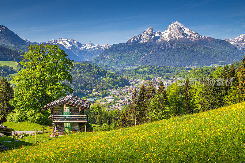 春天阿尔卑斯山的田园风光和传统的山间小屋