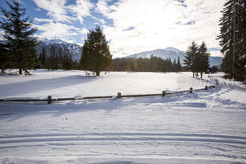 惠斯勒冬季越野滑雪道的风景。