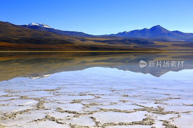 拉古纳-图亚克托湖和Miniques火山-绿松石湖盐反射和田园般的阿塔卡马沙漠，火山景观全景-圣佩德罗德阿塔卡马，智利，Bolívia和阿根廷边境