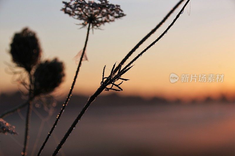 新的一天的开始