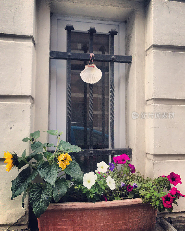 比利时布鲁塞尔，窗户上装饰着鲜花