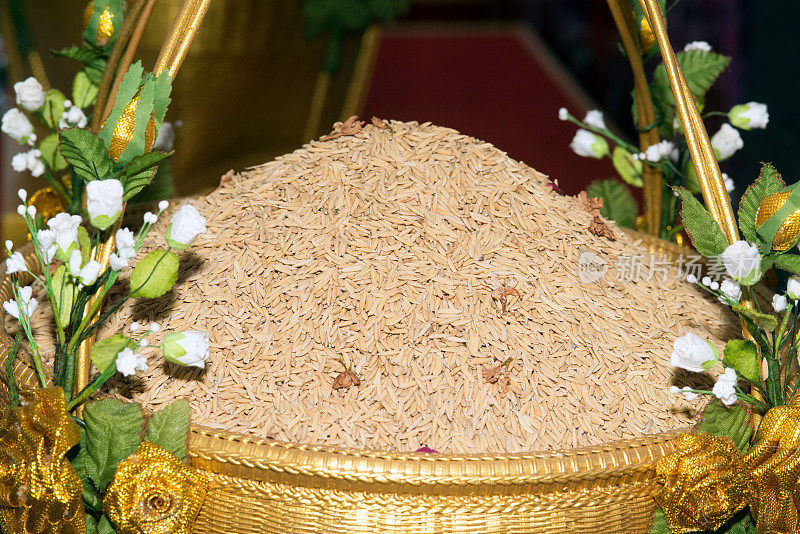 大米粒黄色茉莉成熟大米。