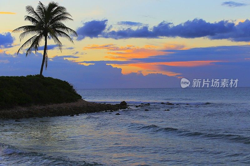 田园诗般的海滩在金色日落-蒙特哥湾-牙买加，加勒比海