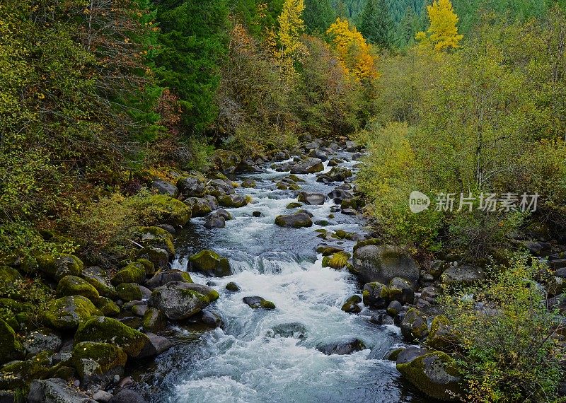 北福克威拉米特河禅宗