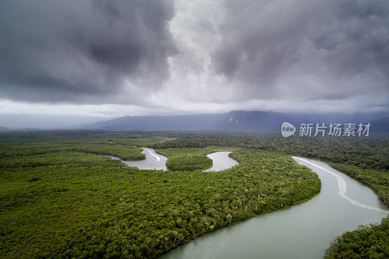 热带雨林