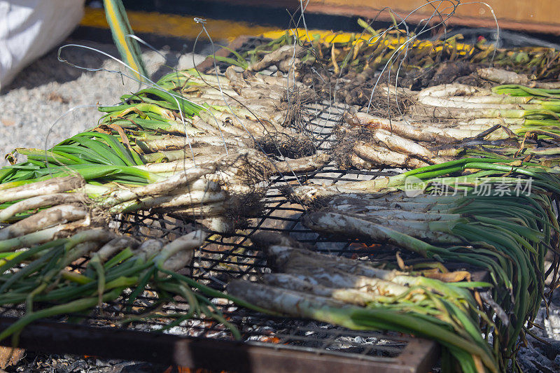 Calçots被烹饪-加泰罗尼亚的美食传统