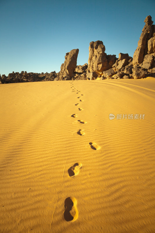 利比亚撒哈拉沙漠的脚印