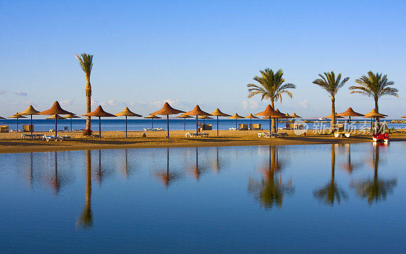 埃及海岸线上的棕榈树和雨伞景观