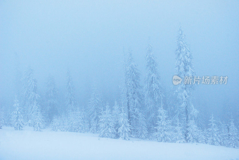 山上有浓雾。戏剧性的一幕。神奇的冬天雪