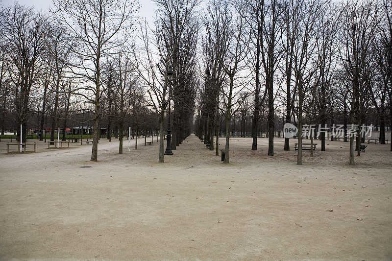 著名的巴黎，卢浮宫附近的杜伊勒里花园