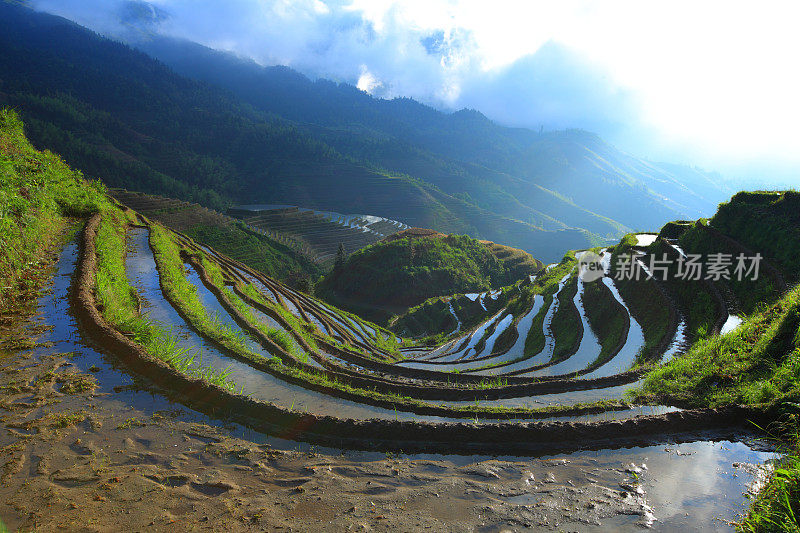 隆基梯田