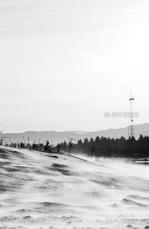 暴风雪