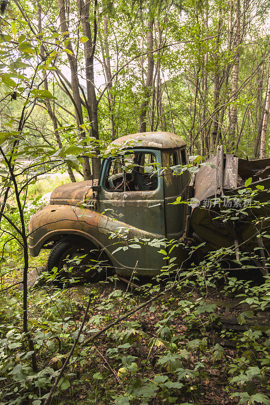 被遗弃的生锈汽车残骸藏在森林里