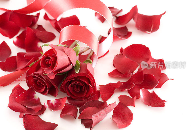 美丽的情人节玫瑰花束与花瓣和丝带上的白色
