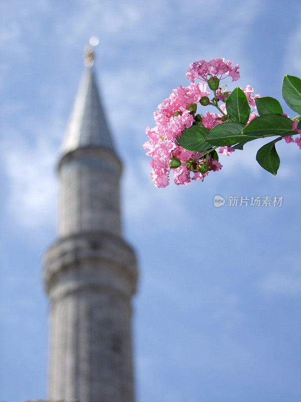 伊斯坦布尔的索菲亚清真寺尖塔
