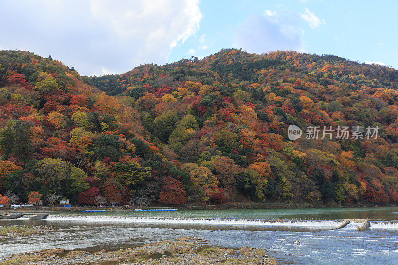 日本京都的岚山