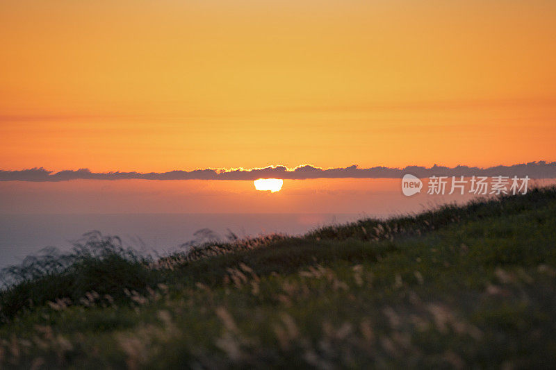 在野生草地上投下炽热光芒的日落