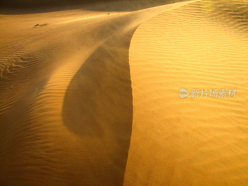 在迪拜的沙漠