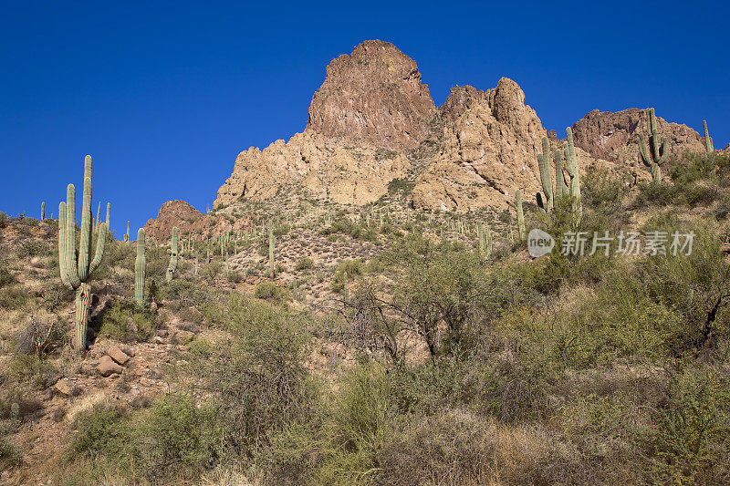 沙漠Mountainscape