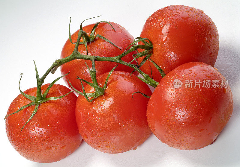 我来到tomatoes