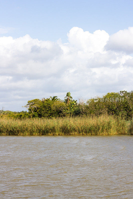 南非夸祖鲁-纳塔尔省的iSimangaliso湿地公园