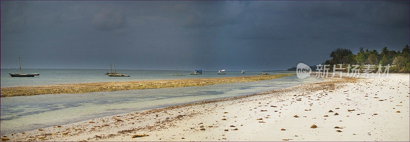 印度洋的迪亚尼海滩。全景