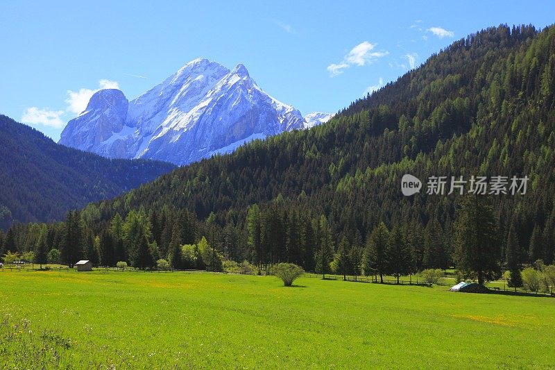 白云石高山景观，绿色松树山谷，科尔蒂纳，南泰洛