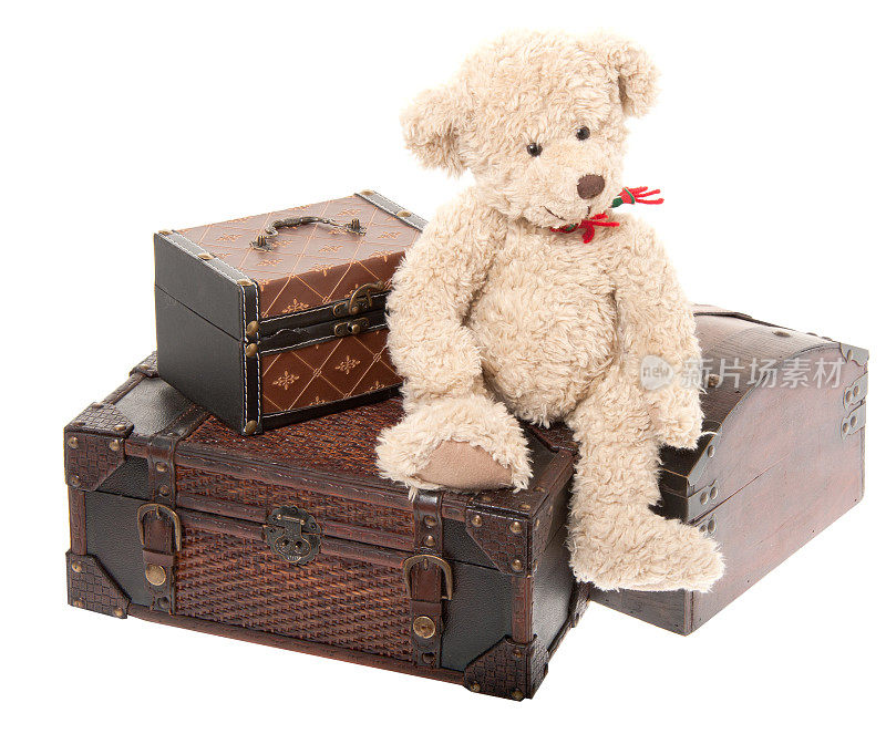 泰迪熊坐在旅行箱上