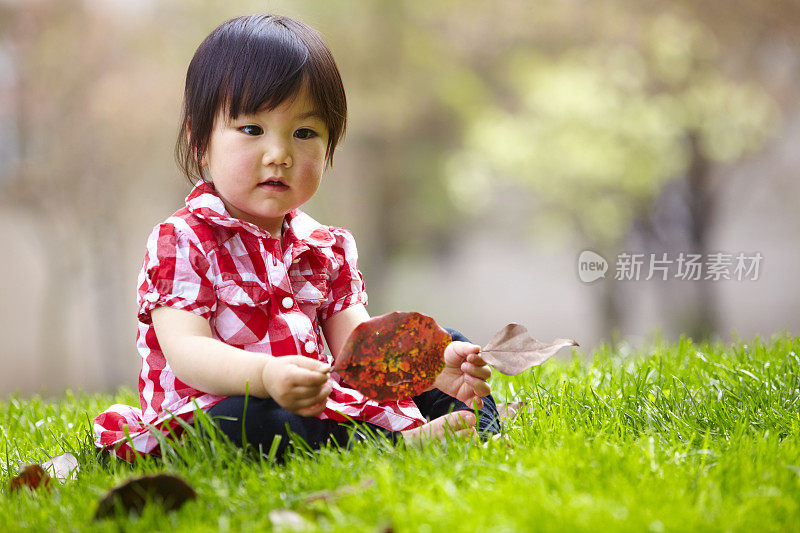 草地上可爱的小女孩