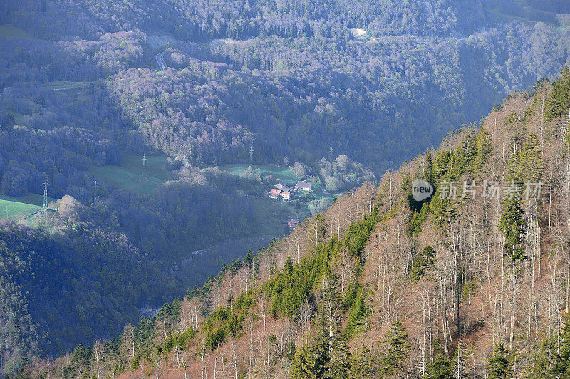 村庄在山和森林