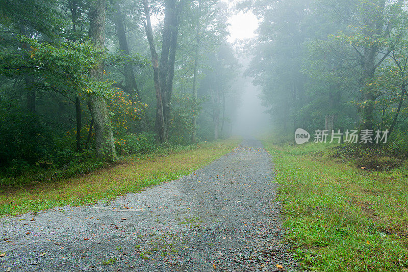 多雾的早晨