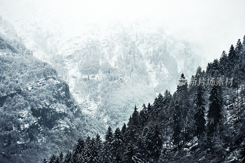 意大利阿尔卑斯山冬天下雪的景象